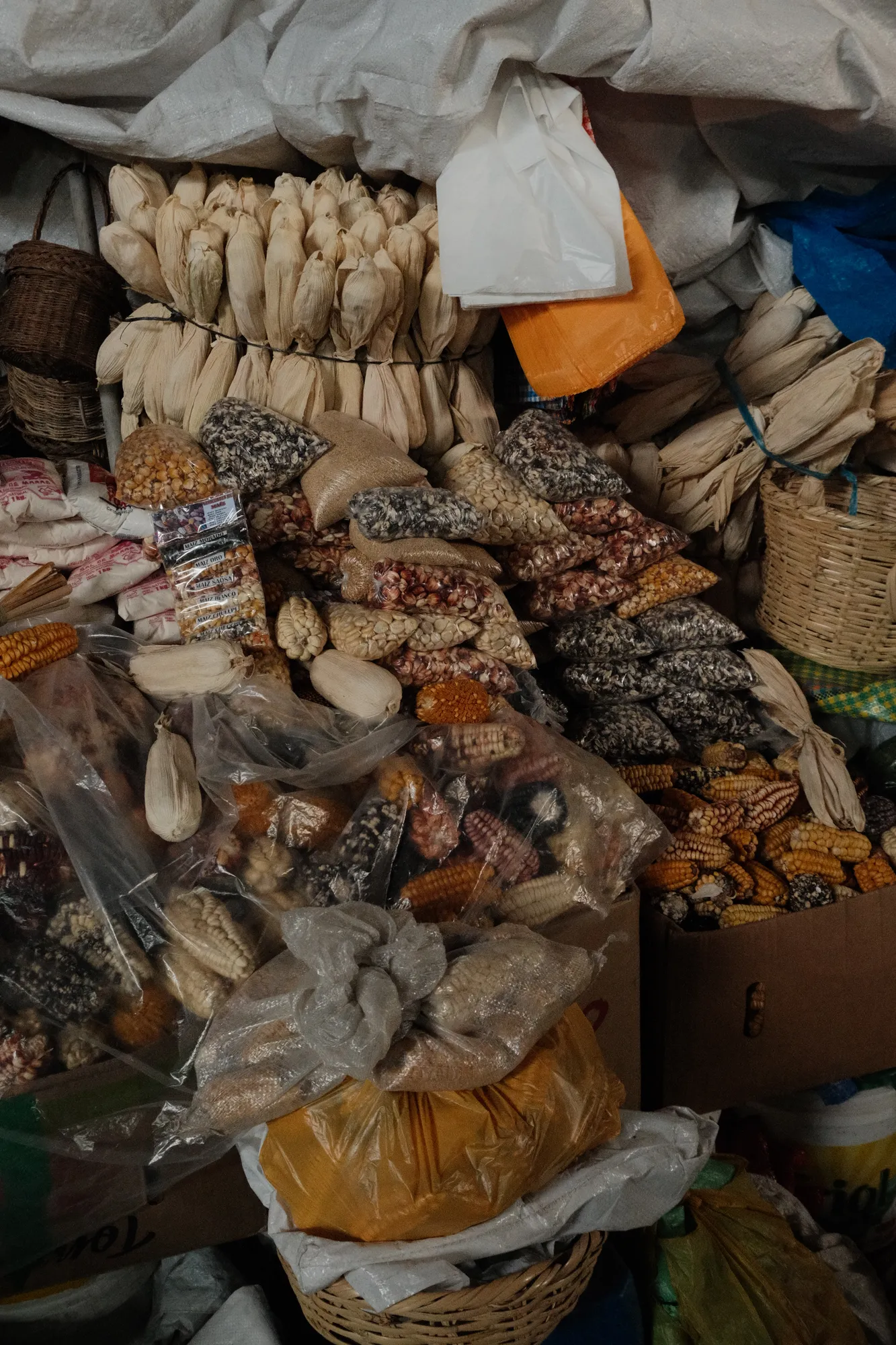 Bags of dried native corn in dozens of varieties fill a market stall in Cusco, labeled by type: maiz oro, maiz blanco, maiz chullpi.