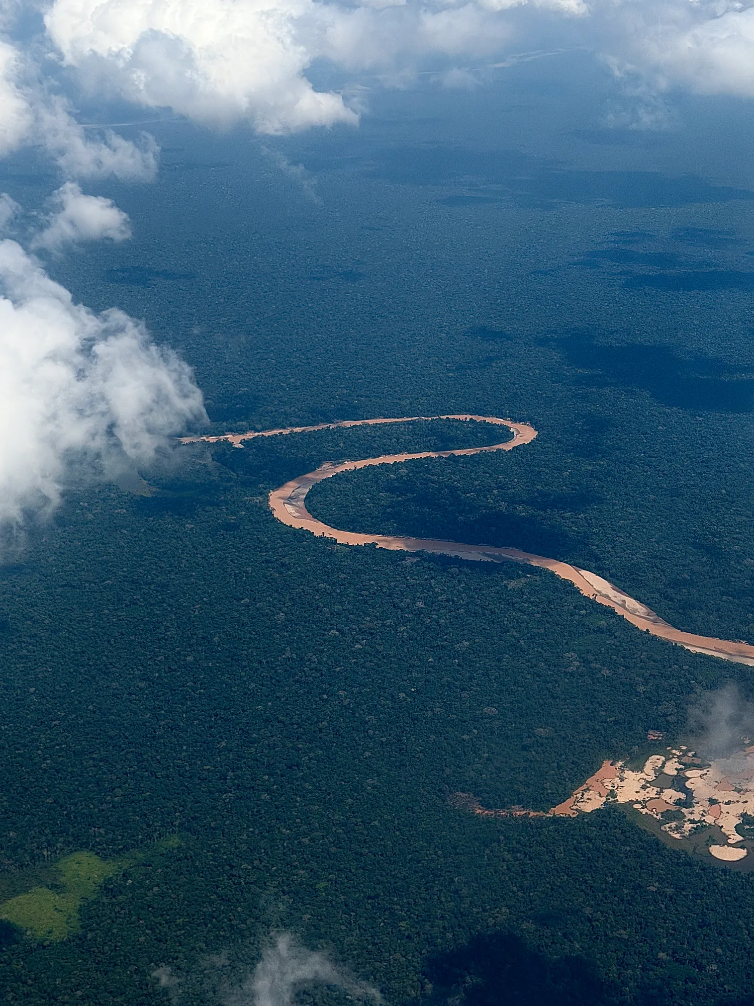 A wooden sign for the Tambopata National Reserve stands on a jungle boardwalk, palms and dense forest behind it.