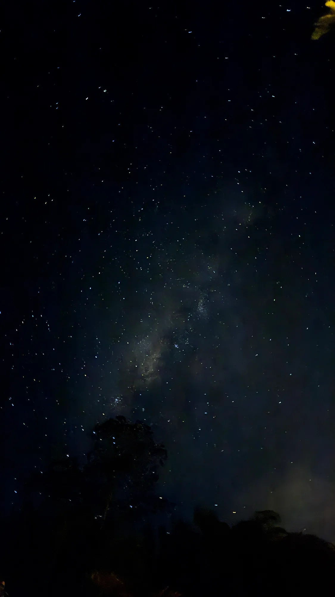 Night falls over the rainforest, a few lights visible through the trees.