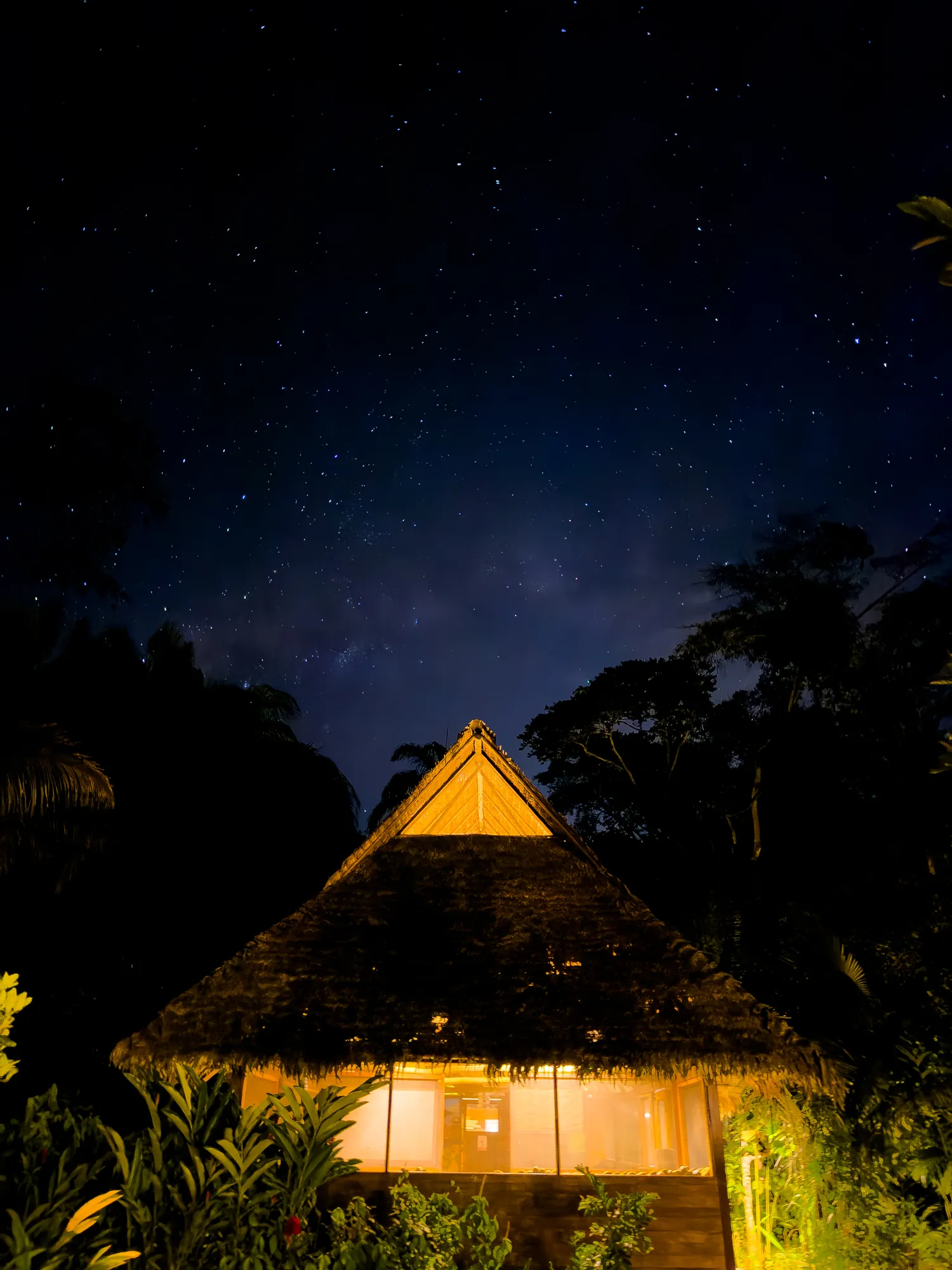 A thatched-roof lodge glows against a star-filled night sky, jungle silhouetted around it.