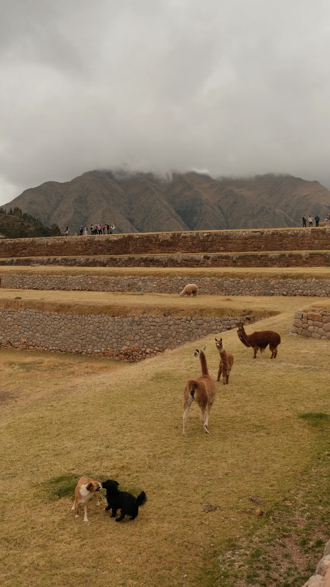 A wide Andean valley view near Chinchero, terraced slopes climbing toward cloud-covered peaks.
