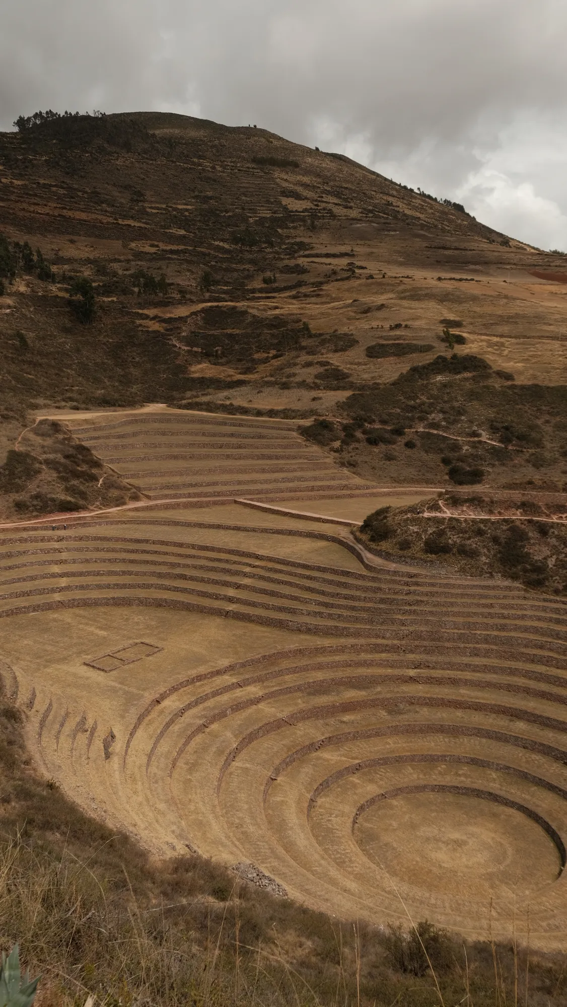 A closer view of Moray's circular agricultural terraces, ringed by dry hillside.