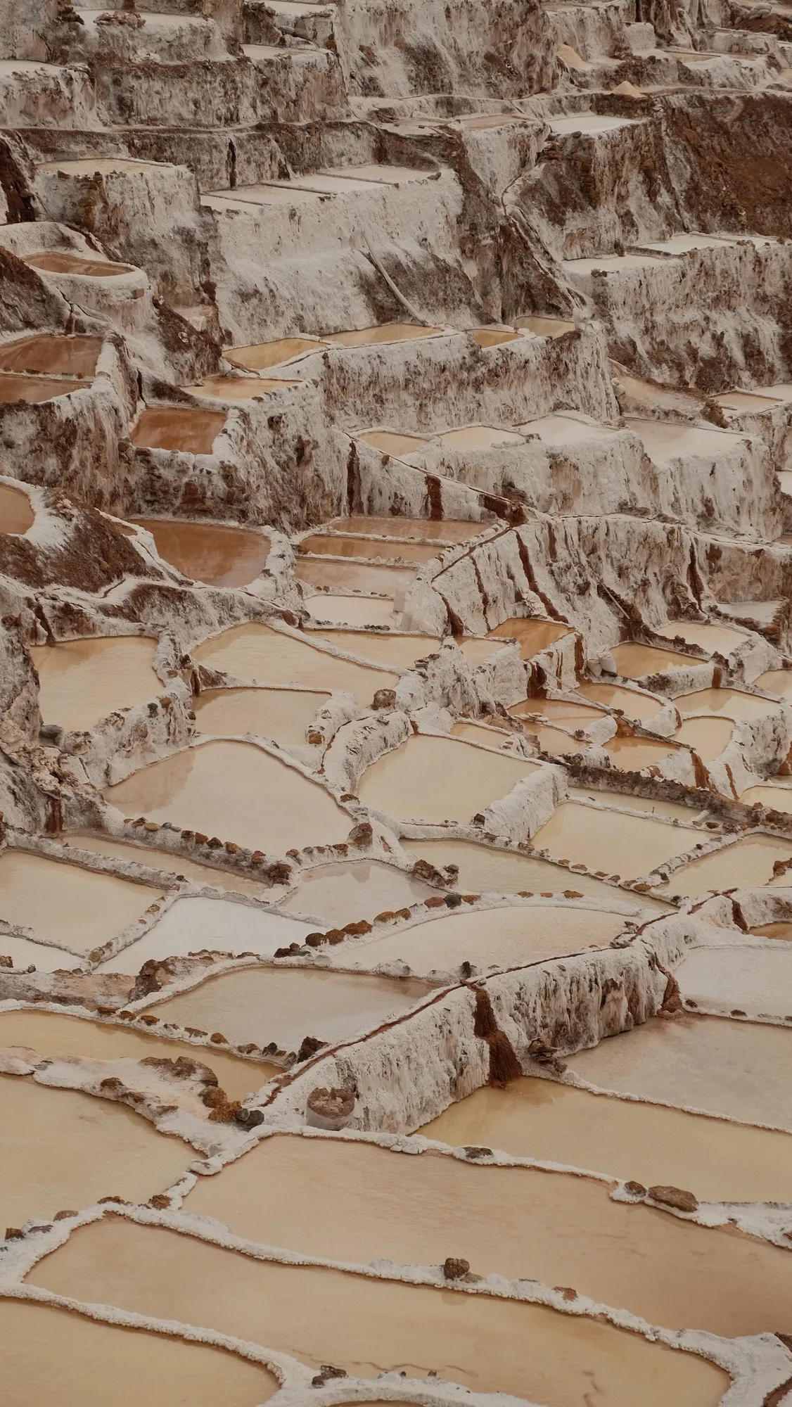 Salt crystallizes white along the edges of the terraced pans at Maras, the valley falling away below.